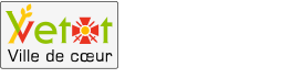 Logo les Vikings
